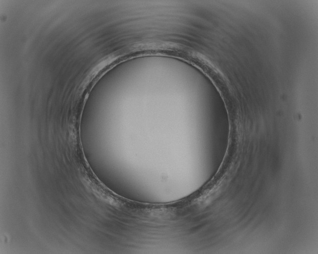 X0000077401025200611032021