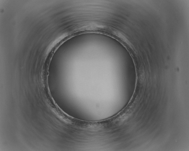 X0000077401026200611032021