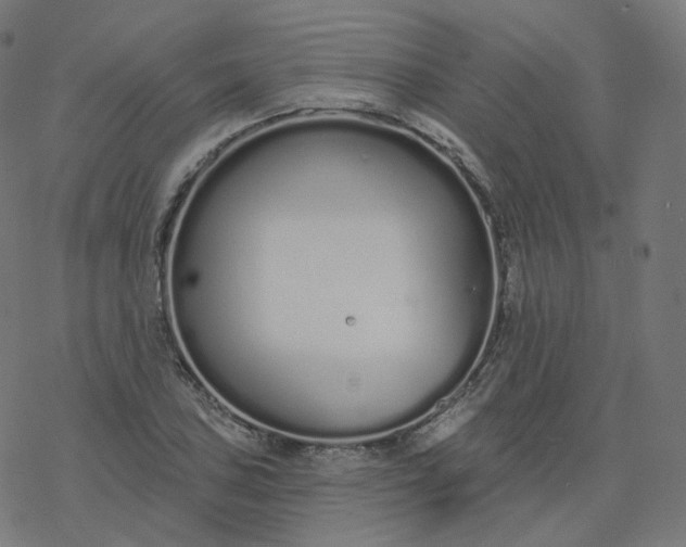 X0000077401027200611032021