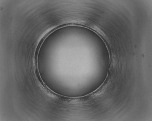 X0000077401028200611032021