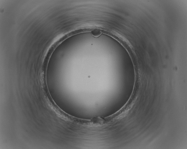 X0000077401029200611032021