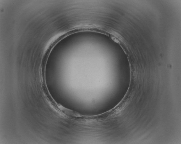 X0000077401030200611032021