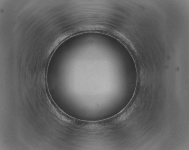 X0000077401033200611032021