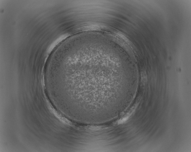 X0000077401034200611032021