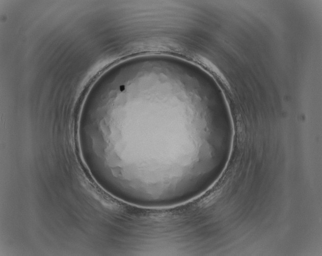 X0000077401035200611032021