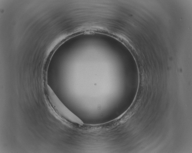 X0000077401038200611032021