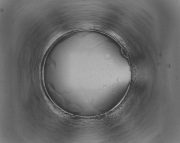 X0000077401039200611032021