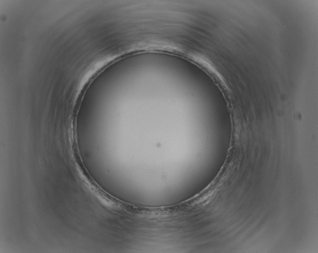 X0000077401040200611032021