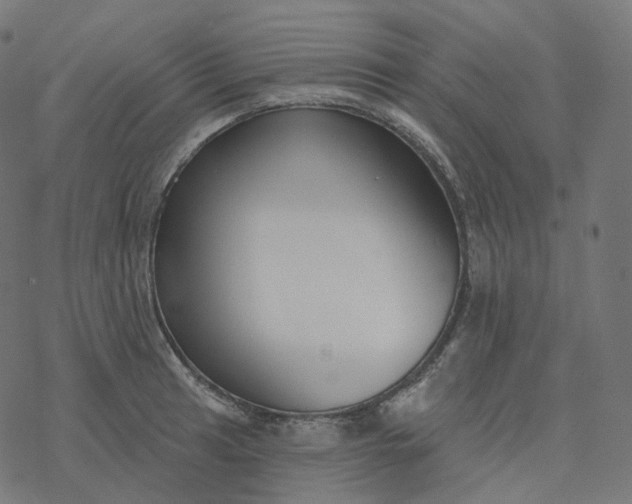 X0000077401041200611032021