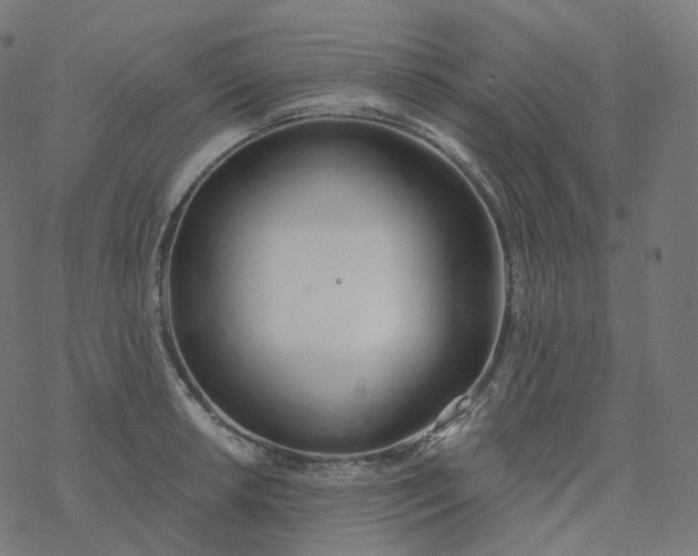 X0000077401042200611032021