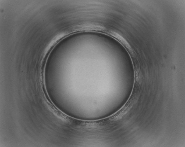 X0000077401043200611032021