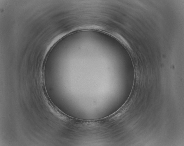 X0000077401044200611032021