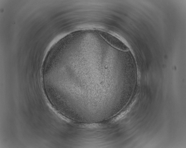 X0000077401045200611032021