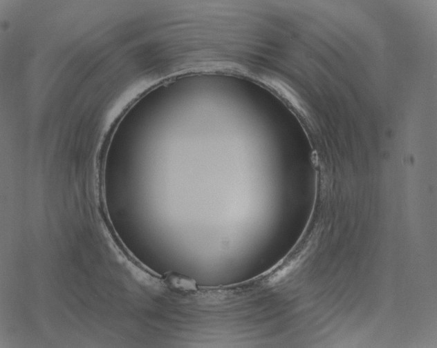 X0000077401046200611032021