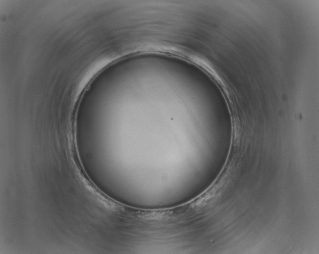 X0000077401048200611032021