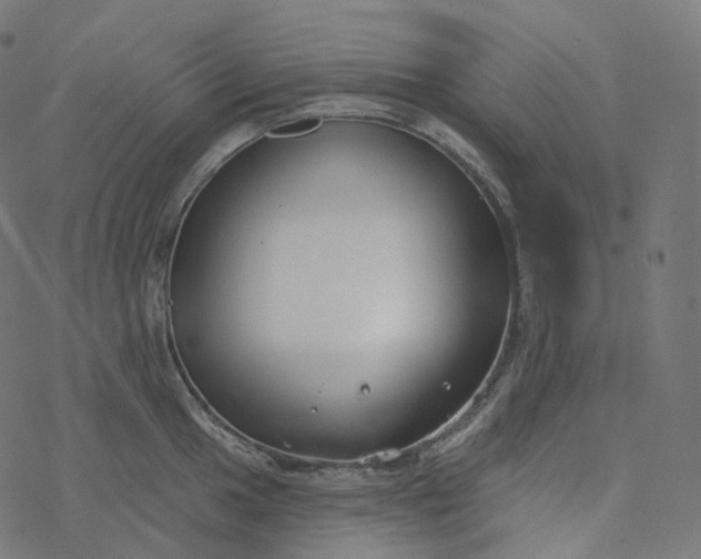 X0000077401049200611032021