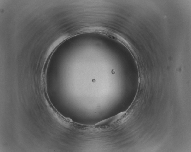 X0000077401050200611032022