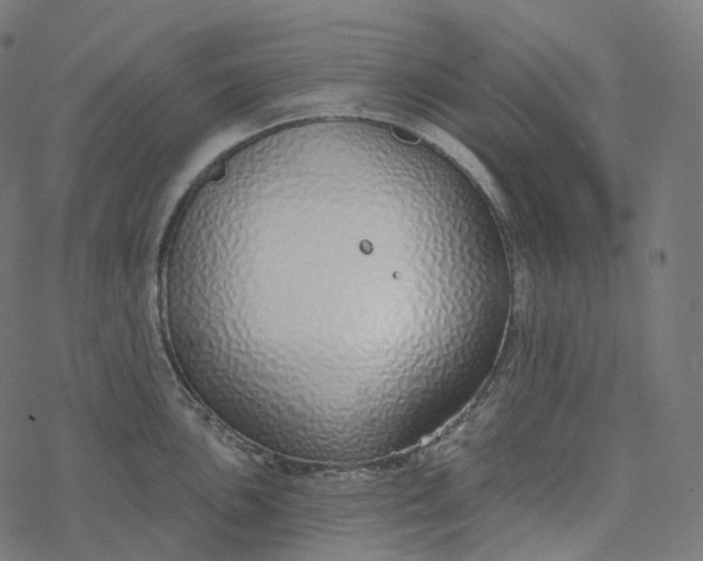 X0000077401051200611032022