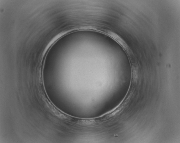 X0000077401052200611032022