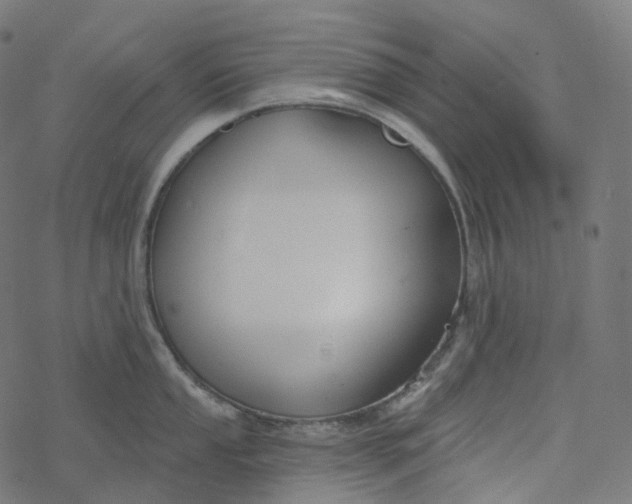 X0000077401053200611032022