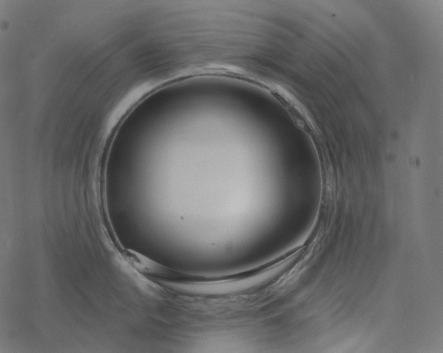 X0000077401054200611032022