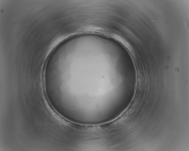 X0000077401055200611032022