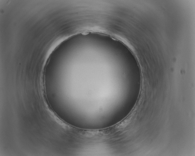 X0000077401056200611032022