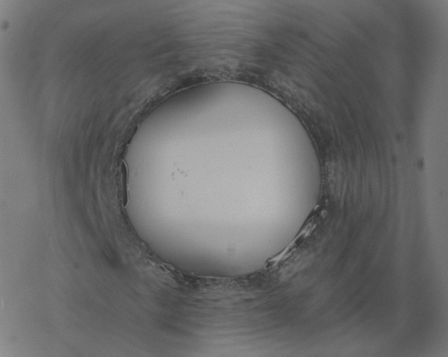 X0000077401057200611032021