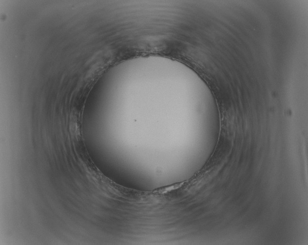 X0000077401058200611032021