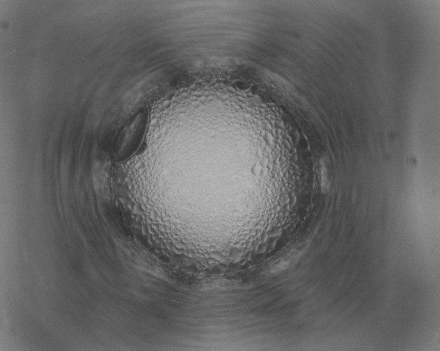 X0000077401059200611032021