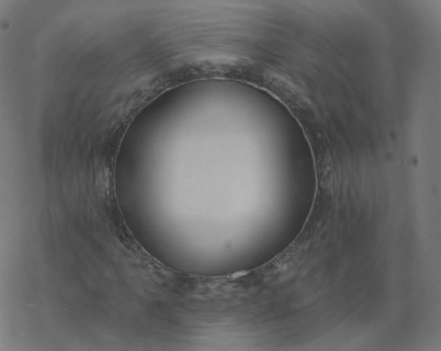 X0000077401061200611032021