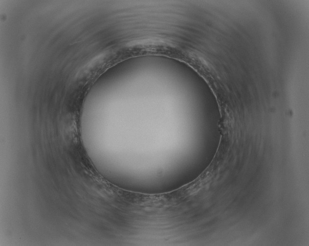 X0000077401062200611032021