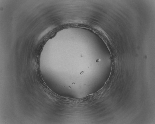 X0000077401064200611032021