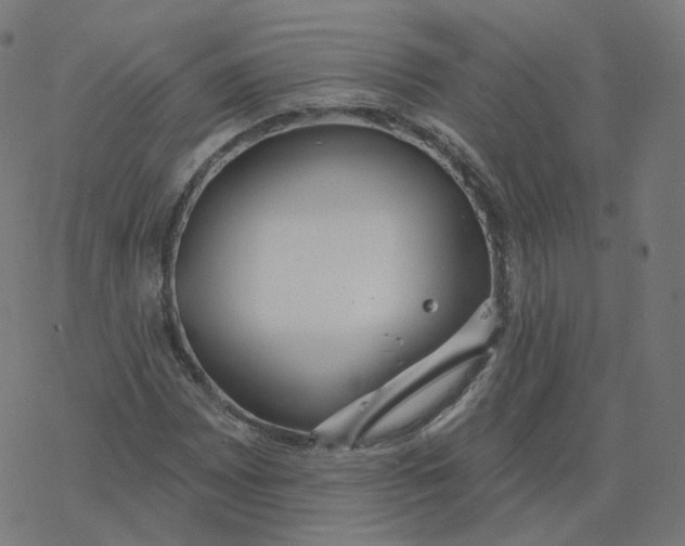 X0000077401065200611032021