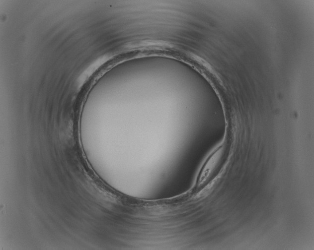 X0000077401066200611032021