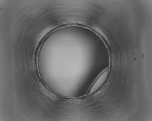 X0000077401068200611032021