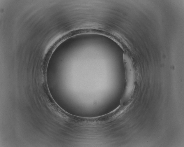 X0000077401069200611032021