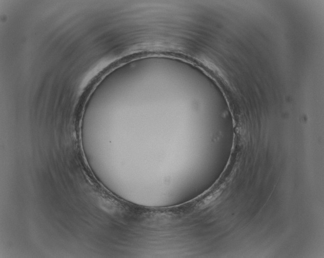 X0000077401070200611032021