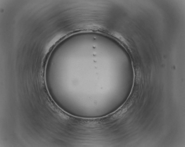 X0000077401071200611032021