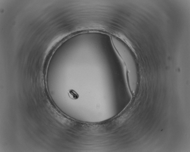 X0000077401072200611032021