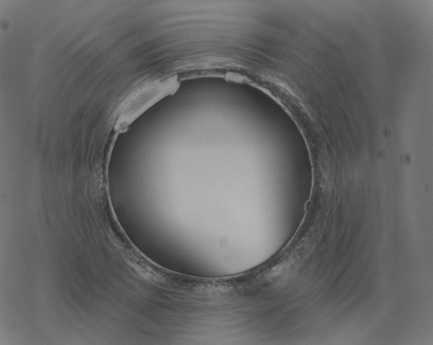 X0000077401073200611032021