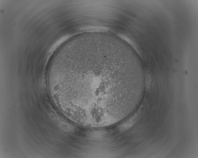 X0000077401074200611032021