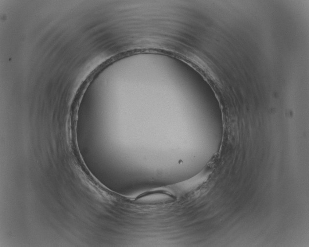 X0000077401076200611032021