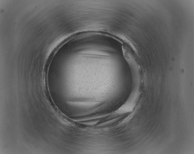 X0000077401077200611032021