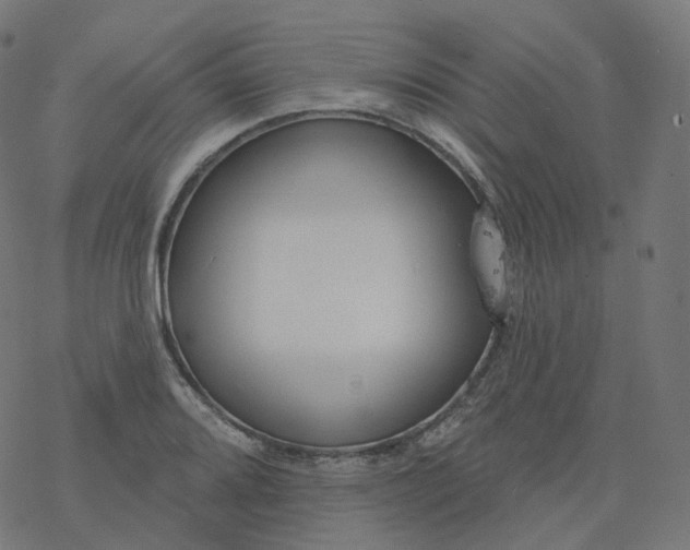 X0000077401080200611032020