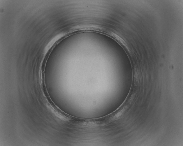 X0000077401082200611032020