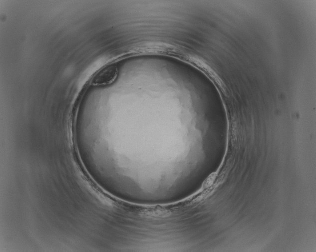 X0000077401083200611032020