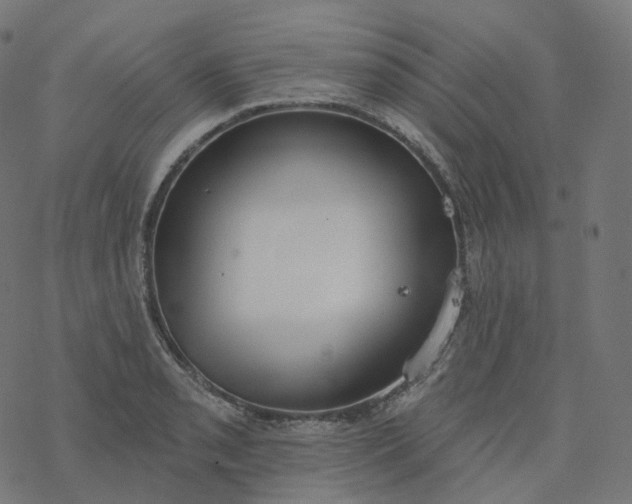 X0000077401085200611032020