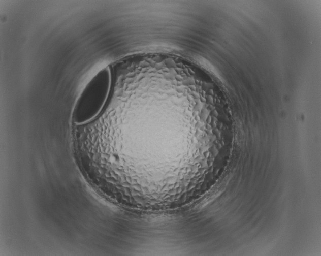 X0000077401087200611032020