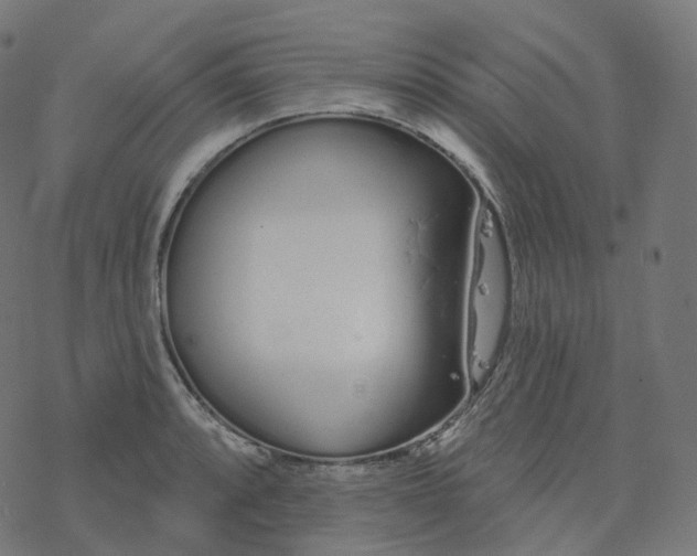 X0000077401088200611032020